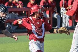 Roaring Cheers and Home Runs: WSU Baseball Excitement